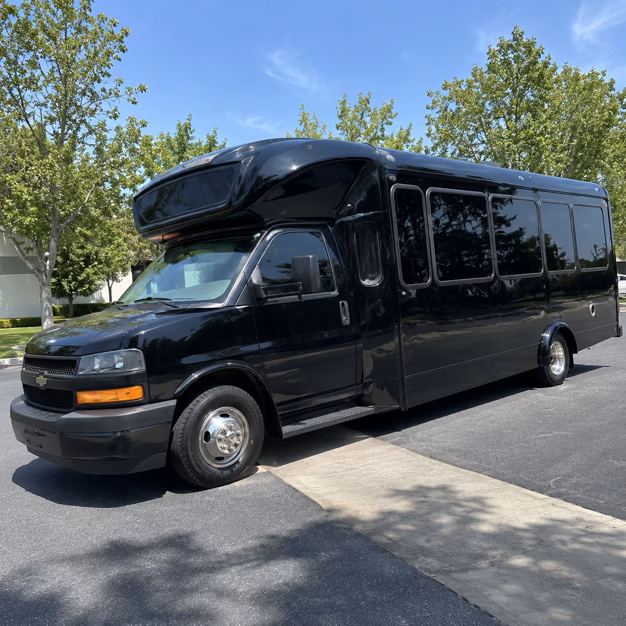 chandler 15 passenger party bus