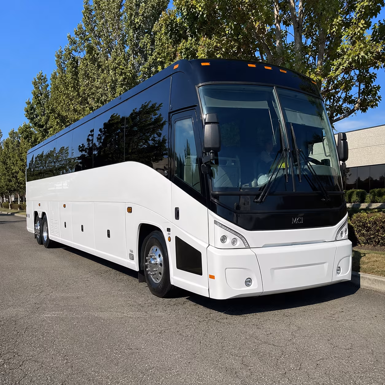 chandler 50 passenger charter bus