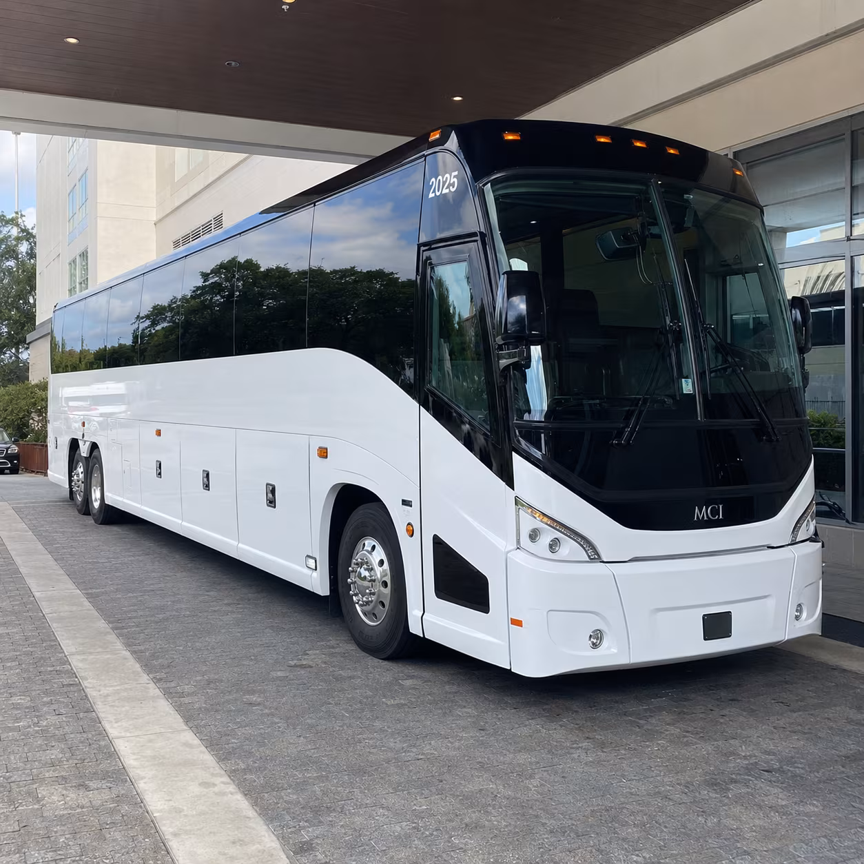 chandler 54 passenger charter bus