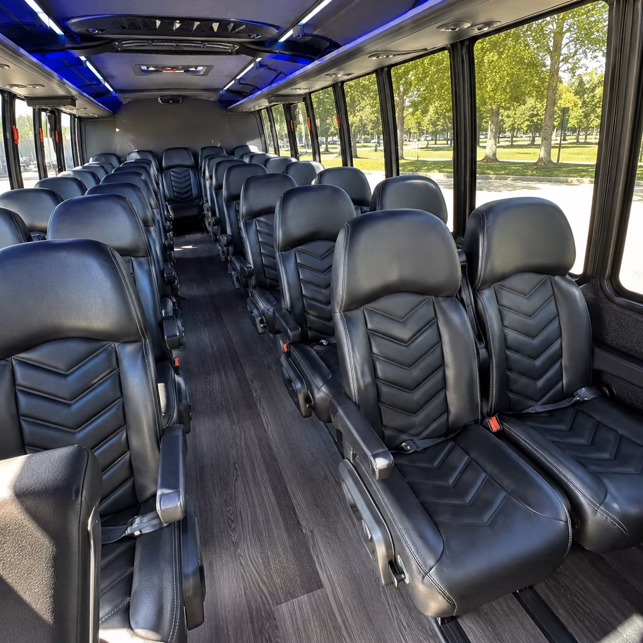 chandler field trip transportation onboard seating