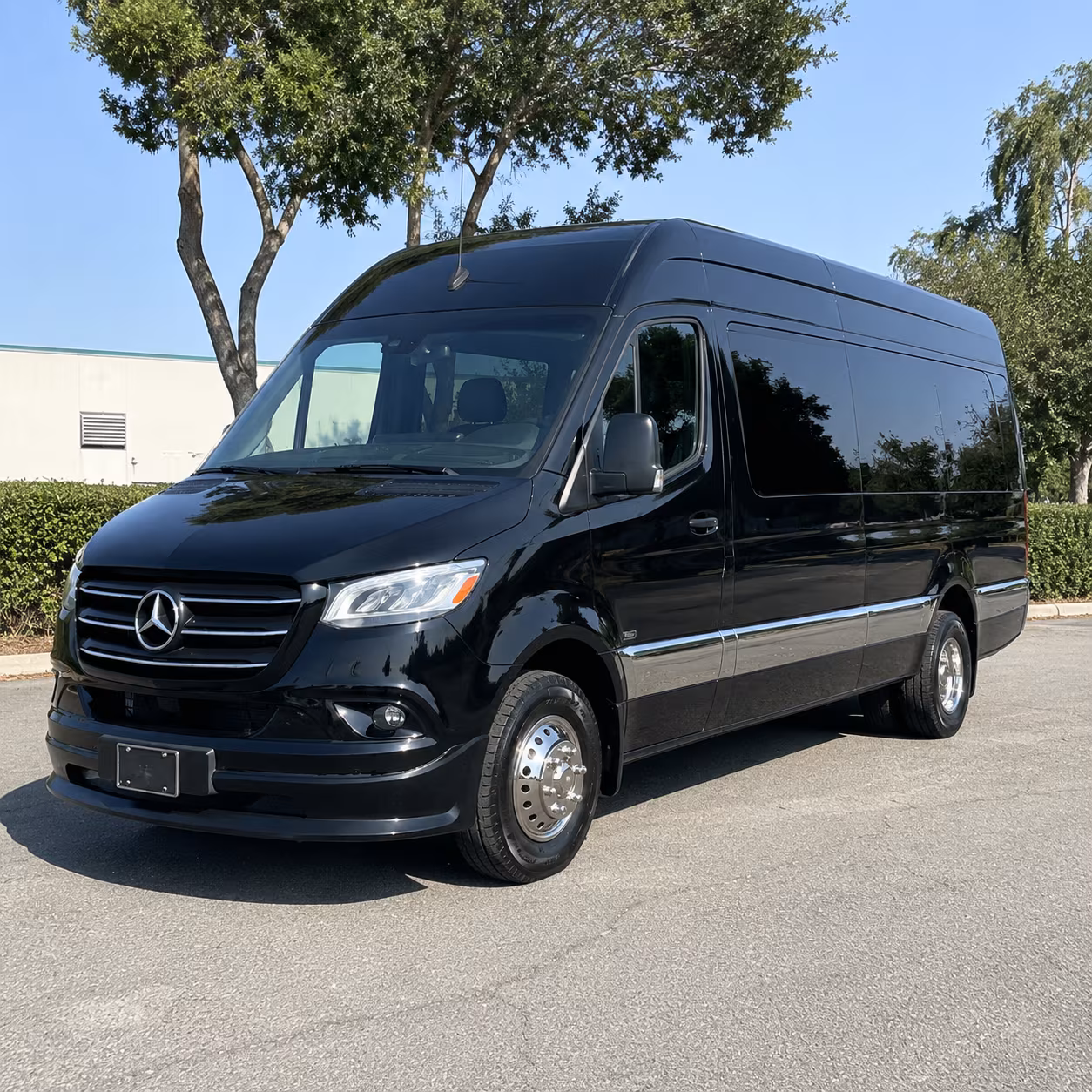 chandler sprinter van with driver