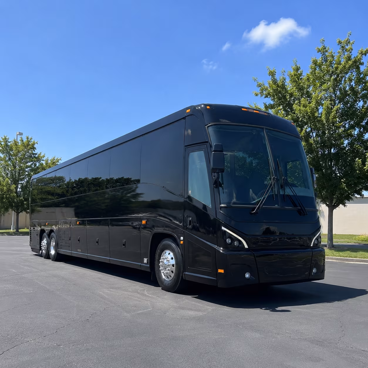 secure transportation for your next birthday 4